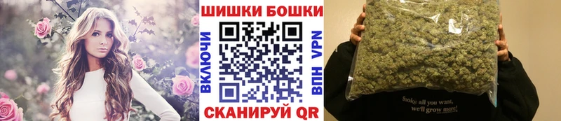 Бошки марихуана индика  Пустошка 